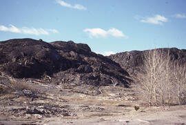 Photograph of slag heaps and sparse trees at Coniston site, near Sudbury, Ontario