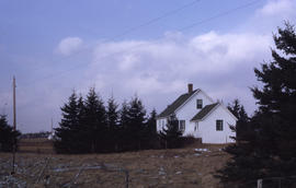 Photograph of a small white house surrounded by evergreen trees