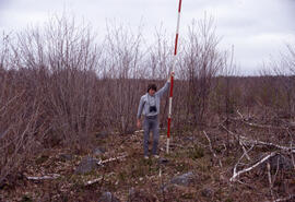 Photograph of an unidentified researcher making forest biomass measurements at a six-year-old bir...
