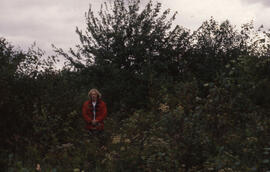 Photograph of an unidentified person standing in an unsprayed plot, Riverside site, central Nova ...