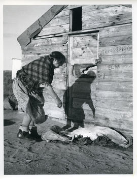 Photograph of Alicie Berthé with a dead seal at her family's store house near the Koksoak River