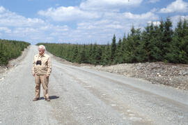 Photograph of Pat Mercier standing on a forest road amid 10-year old spruce plantation, Irving Bl...