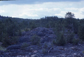 Photograph of a wooded hilltop near the Richard Lake site, near Sudbury, Ontario