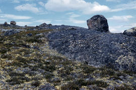 Photograph of the tundra in Fort Chimo, Quebec