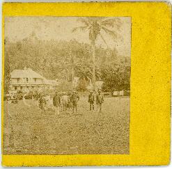 Photograph of Rev. J. Buzacott's mission house, Raratonga. L.M.S.