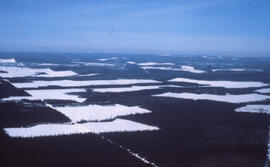 Aerial photograph of clear cuts in nothern New Brunswick
