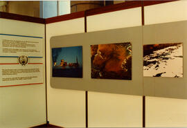 Photograph of an exhibit at a Hellenic Marine Protection Association (HELMEPA) event