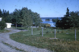 Photograph of a driveway leading to a house near a lake