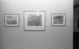 Photograph of an installation at the Dalhousie Art Gallery