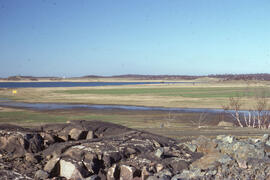 Photograph of sparse vegetation regrowth at a tailings site at Copper Cliff, near Sudbury, Ontario