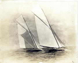 Photograph of the yachts Shamrock and Columbia competing for the America Cup