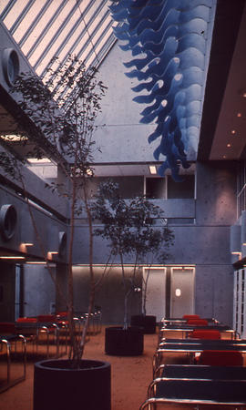 Photograph of unknown health science library atrium in Canada
