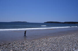 Photograph of one unidentified person walking along the beach on the Gaff Point trail, near Kings...