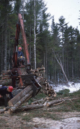 Photograph of two unidentified workers operating log loader machinery at Aylesford Lake, Kings Co...