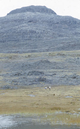 Photograph of a mountain in Cape Dorset, Northwest Territories