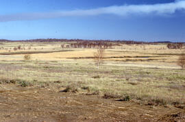 Photograph of the revegetation of a former tailings area at the Copper Cliff site, near Sudbury, ...