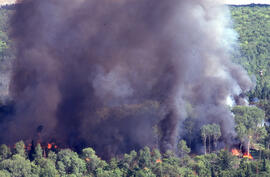 Photograph of an active forest fire in La Mauricie National Park