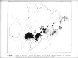 Transparency map showing areas of spruce budworm infestation in eastern Canada, 1981