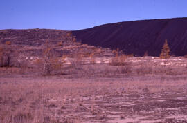 Photograph of slag heaps encroaching on sparse vegetation at the Coniston site, near Sudbury, Ont...