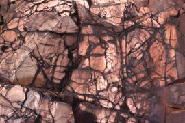 Photograph of red-stained rock face in a roast bed at Nickel Rim, near Sudbury, Ontario