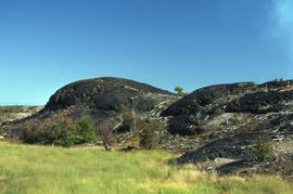 Photograph of regrowth around slag heaps 3 kilometres from the Copper Cliff site, near Sudbury, O...