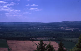 Photograph of a grassy landscape with trees taken from above