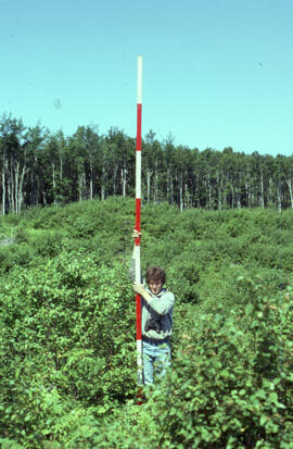 Photograph of forest biomass growth at Site 1, a five-year growth at an unidentified central Nova...