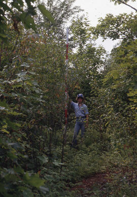 Photograph of an unidentified researcher conducting forest biomass measurements at Plot H, Site 1...