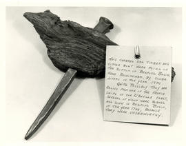 Photograph of an oak timber pierced with a copper bolt pulled from the bottom of Bedford Basin