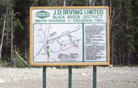Photograph of an Irving Woodlands Trail sign at Basley and Little River Road, Irving Black Brook ...