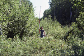 Photograph of an unidentified researcher conducting forest biomass measurements at Plot 2, a four...