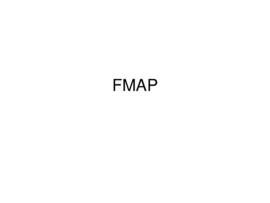 FMAP : [PowerPoint presentation]