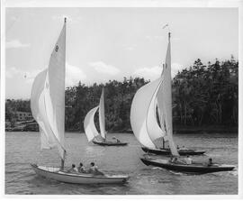 Photograph of sailboats in the Northwest Arm, Halifax, Nova Scotia