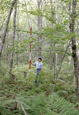 Photograph of an unidentified researcher conducting forest biomass measurements at Plot B, an uni...