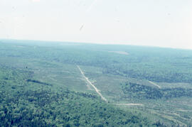Aerial photograph of a regenerating plantation near Fundy National Park, New Brunswick