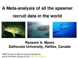 A meta-analysis of all the spawner recruit data in the world : [PowerPoint presentation]