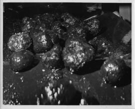 Photograph of manganese nodules