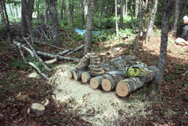 Photograph of a stack of log discs and bolts from felled trees at an unidentified central Nova Sc...