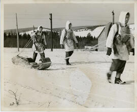Photograph of three unidentified soldiers conducting sledge training at Debert