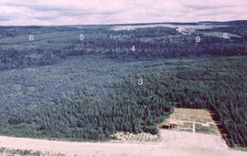 Aerial photograph of a large forested plot before spraying
