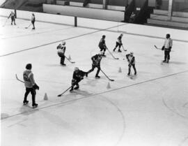 Photograph of Hockey School Clinic