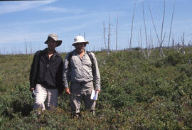 Photograph of Bill Freedman and one unidentified person standing in Murchyville bog, near Moose R...