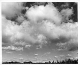 Photograph of the sky and tree line, likely at Tracadie Camp, 1943