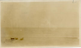 Photograph of three dories ashore on Sable Island