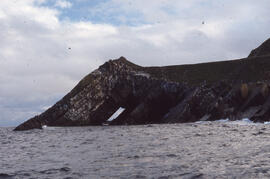 Photograph of Gull Island, near Cape St. Mary's, Newfoundland and Labrador
