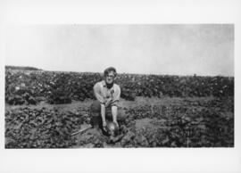 Photograph of Roscoe Fillmore in a vegetable garden