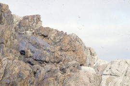 Photograph of rock formations in Cape Dorset, Northwest Territories