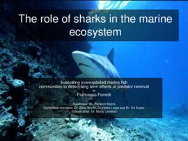 The role of sharks in the marine ecosystem: evaluating overexploited marine fish communities to d...