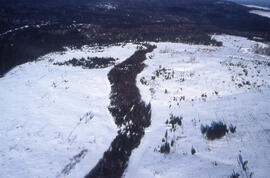 Aerial photograph of a clear cut with a buffer zone, northern New Brunswick