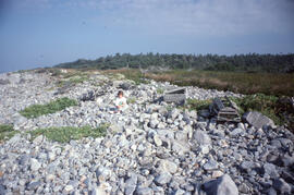 Photograph of persistent beach litter and one unidentified person at Bon Portage Island, Shelburn...
